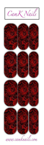 Red Roses