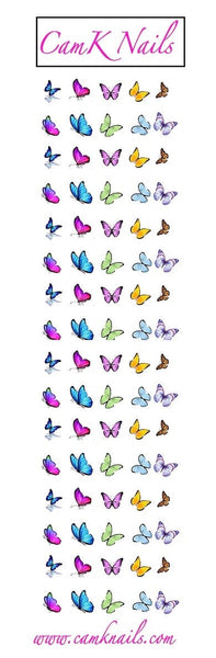 Butterfly’s